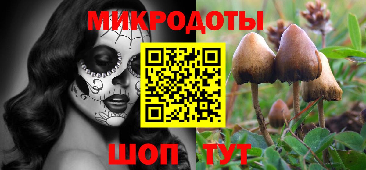 Мирный  Галлюциногенные грибы Cubensis  Вход с VPN  Галлюциногенные грибы Cubensis 